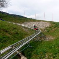 Luge 4 saisons