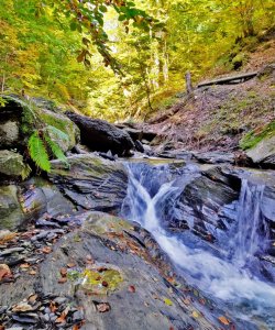 Le torrent du Jorraz